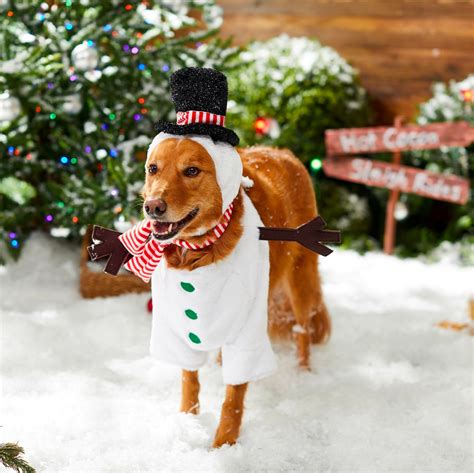 christmas dog outfits for large dogs|More.